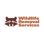 Terminix® Boca Raton, Fl Wildlife & Pest Management