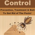 Termite Control & Prevention